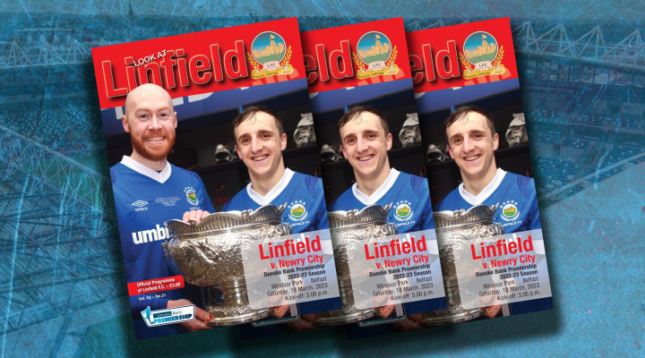 ‘Look at Linfield’ for Saturday’s Premiership game against Newry City